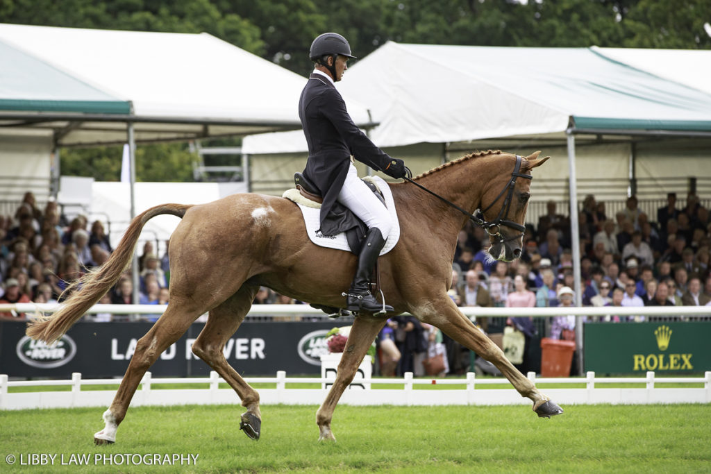 Andrew Nicholson and Nereo (Image: Libby Law)