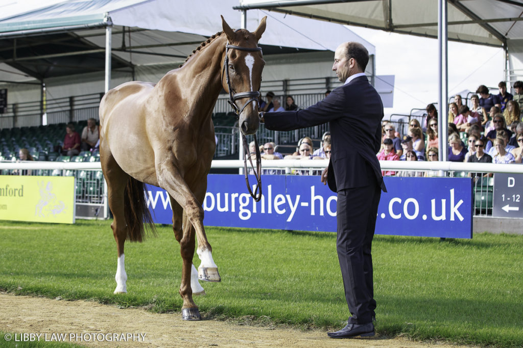 NZL-Tim Price with Bango during the CCI4* First Horse Inspection at the 2016 Land Rover Burghley Horse Trials. Wednesday 31 August. Copyright Photo: Libby Law Photography