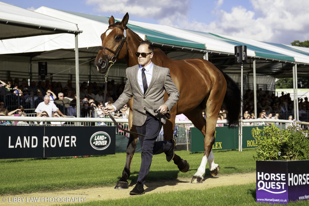 NZL-Blyth Tait with Bear Necessity V during the CCI4* First Horse Inspection at the 2016 Land Rover Burghley Horse Trials. Wednesday 31 August. Copyright Photo: Libby Law Photography