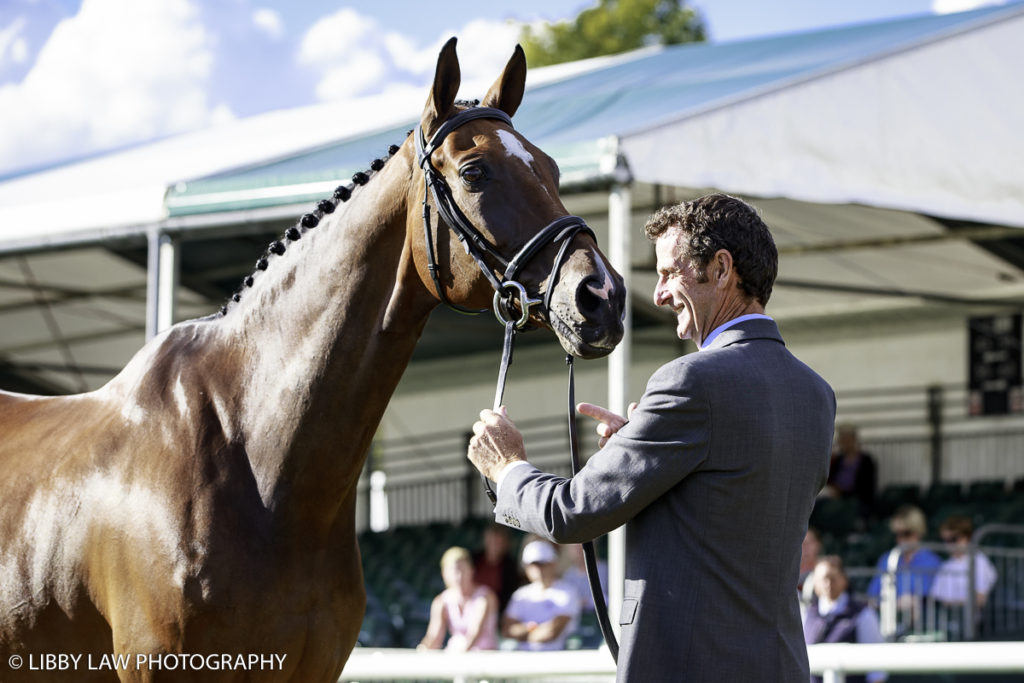 NZL-Sir Mark Todd with NZB Campino during the CCI4* First Horse Inspection at the 2016 Land Rover Burghley Horse Trials. Wednesday 31 August. Copyright Photo: Libby Law Photography