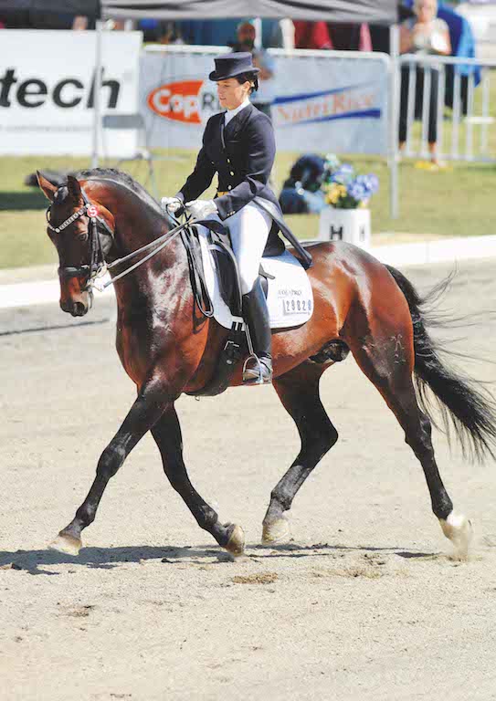 Andrea Bank riding Limonit in the National Saddle Centre FEI Prix St George, Show Grounds, Hastings, Thursday, March 17, 2011. Credit: KAMPIC / Sarah Alderman