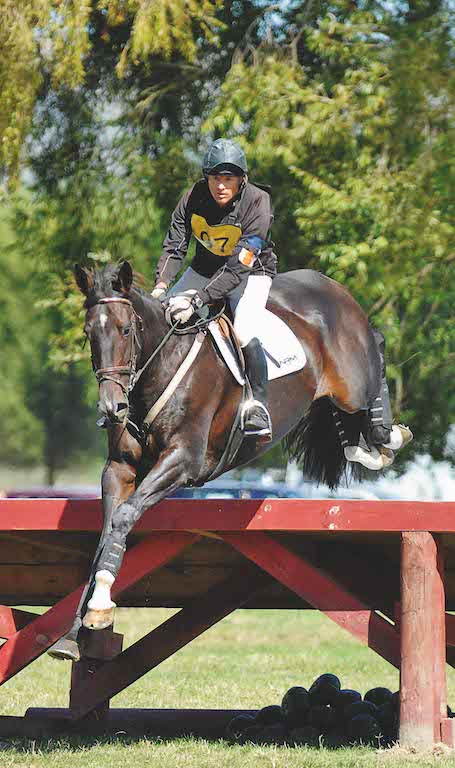 Mathew Grayling riding NRM Lowenberg in the 3 star 3 Day Event, Equestrian Park, Hastings, Friday, March 19, 2011. Credit: KAMPIC / Sarah Alderman