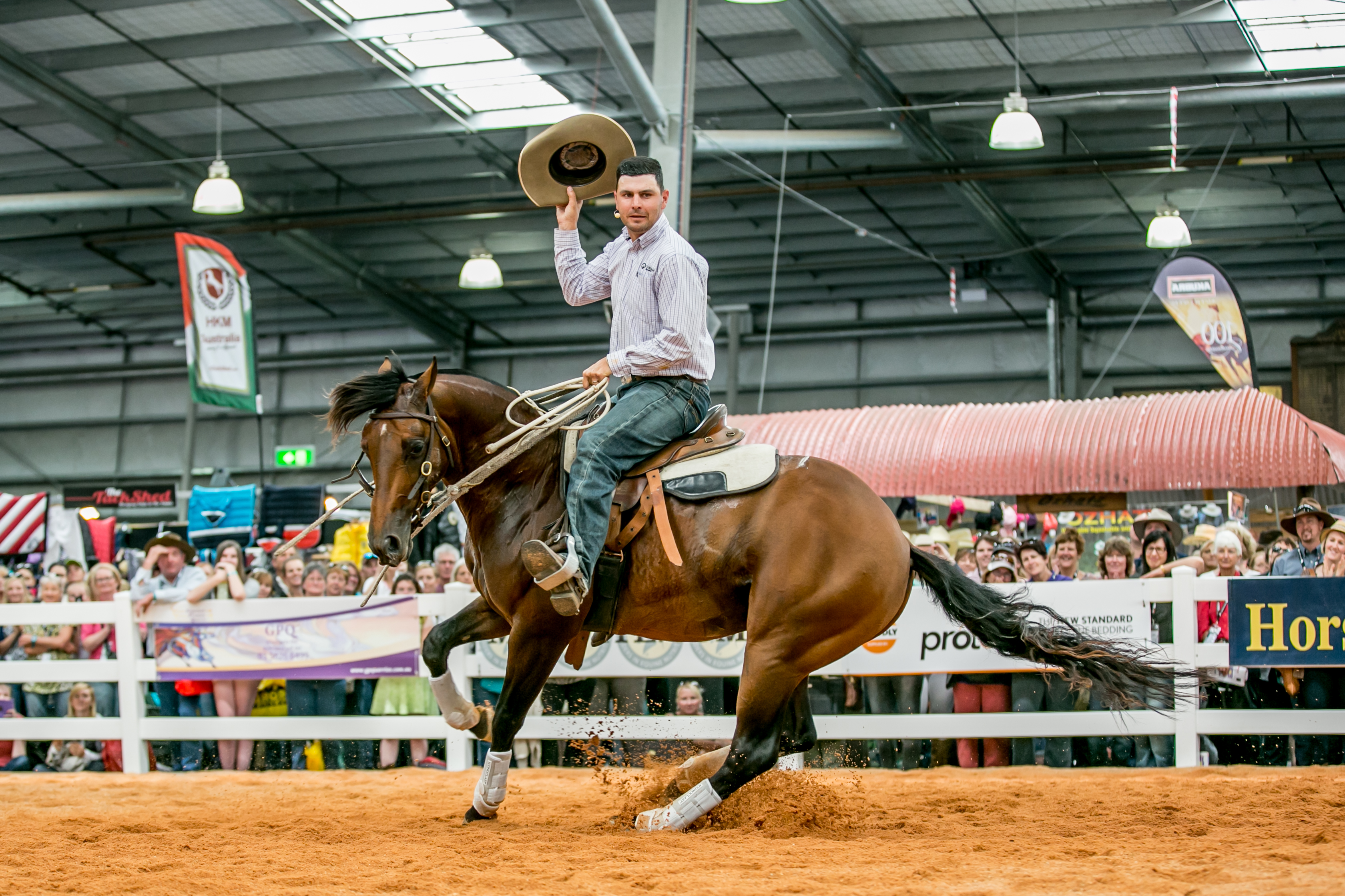 Hold onto your hats, Dan's riding (or is that sliding) into town