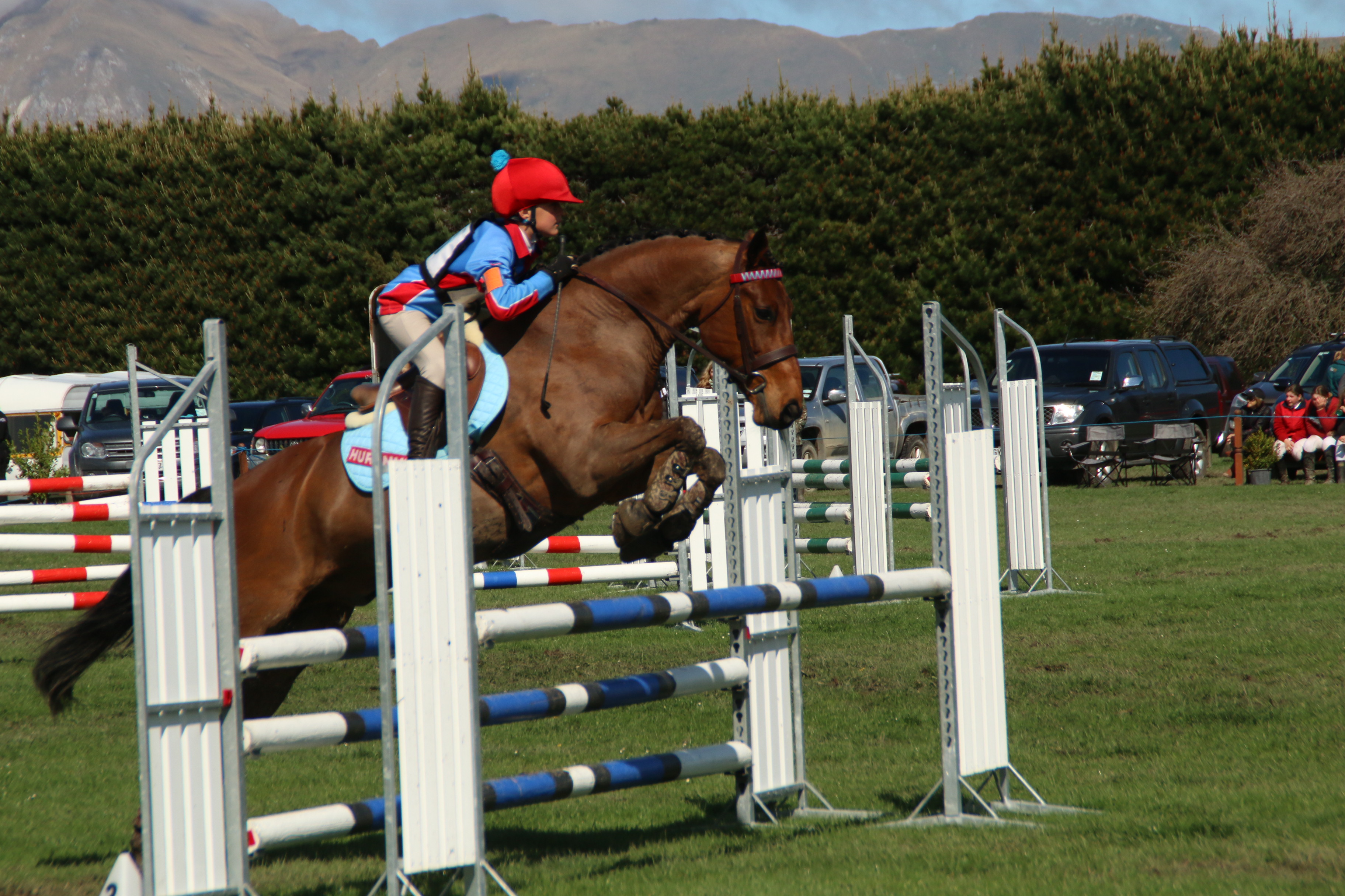 Jakob Pascoe and Monkey Puzzle showjumping in the Springston Trophy intermediate class (Image: Jane Thompson)