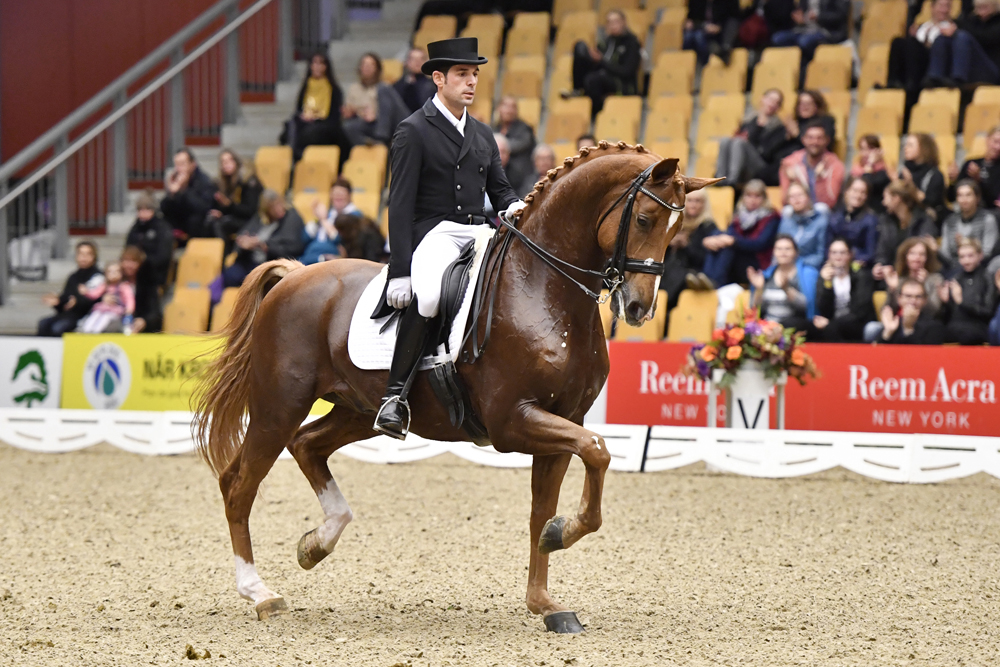 Severo Jesus Jurado Lopez riding Lorenzo for Spain (Image: Annette Boe Ostergaard/FEI)