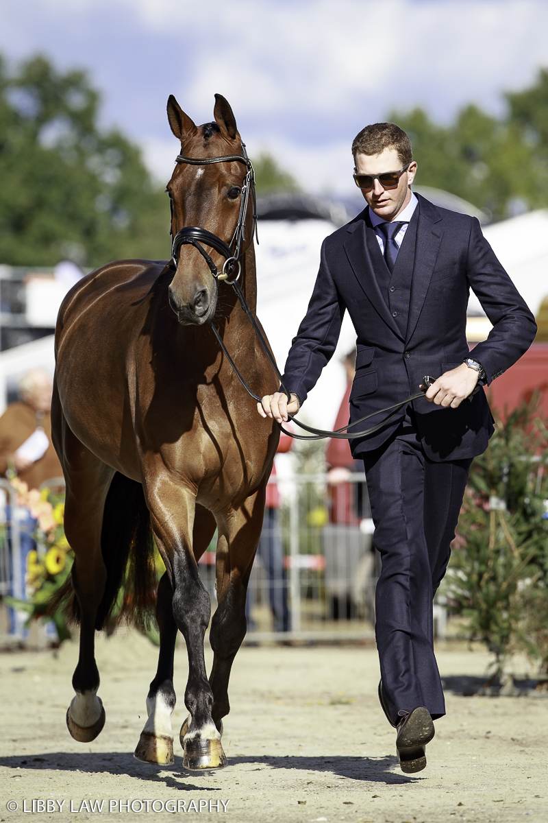 Megan Heath's Camelot (presented by Jesse Campbell) (Image: Libby Law Photography)