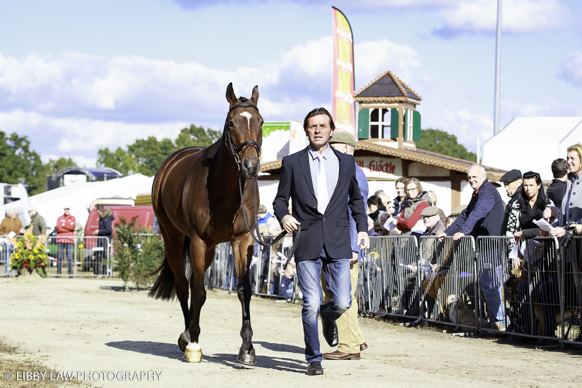 Dan Jocelyn with Beaucatcher will be hoping for their good form to continue at Boekelo (Image: Libby Law Photography)