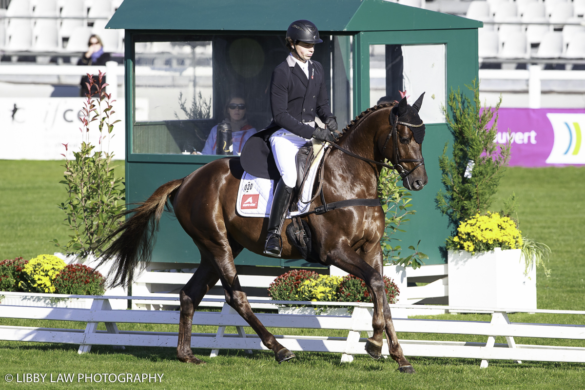 Germany's Kai-Steffen Meier on Painter's Maxim leads the CCI1* 6YO class after the first day of dressage (Image: Libby Law Photography)