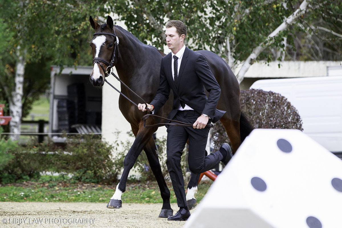 Jesse Campbell with Fado (Image: Libby Law Photography)