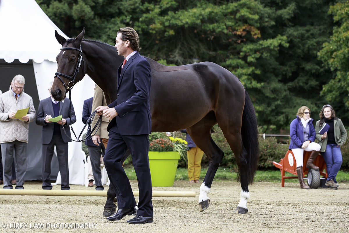 Dan Jocelyn with Fjury (Image: Libby Law Photography)