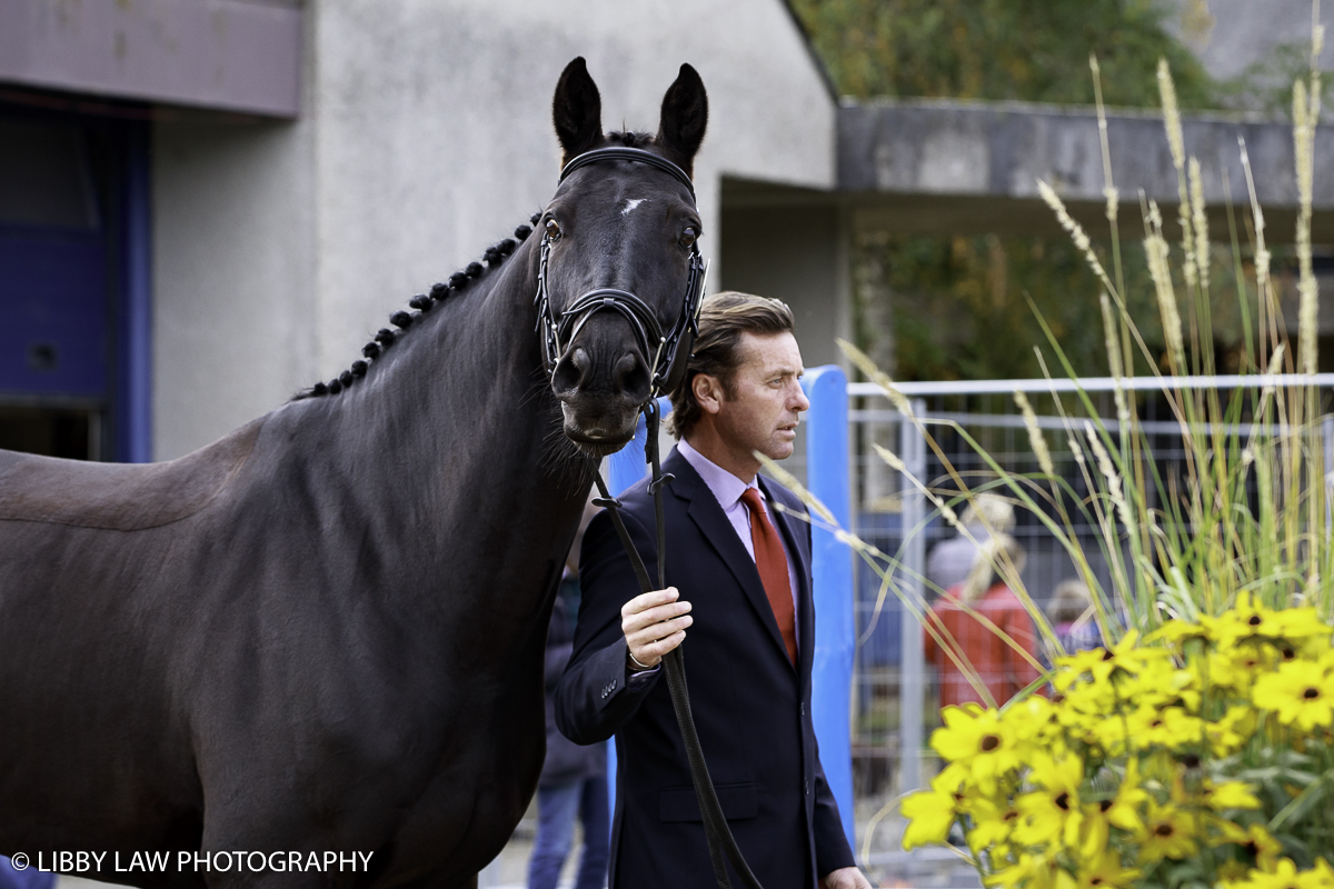 Dan Jocelyn with Blackthorn Cruise (Image: Libby Law Photography)