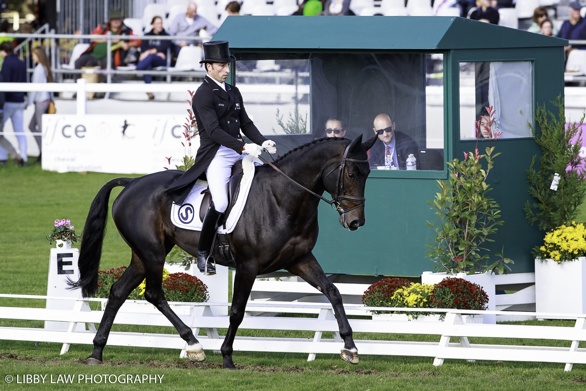 Tim Price on Irish bred Kincooley Cruising (Image: Libby Law Photography)