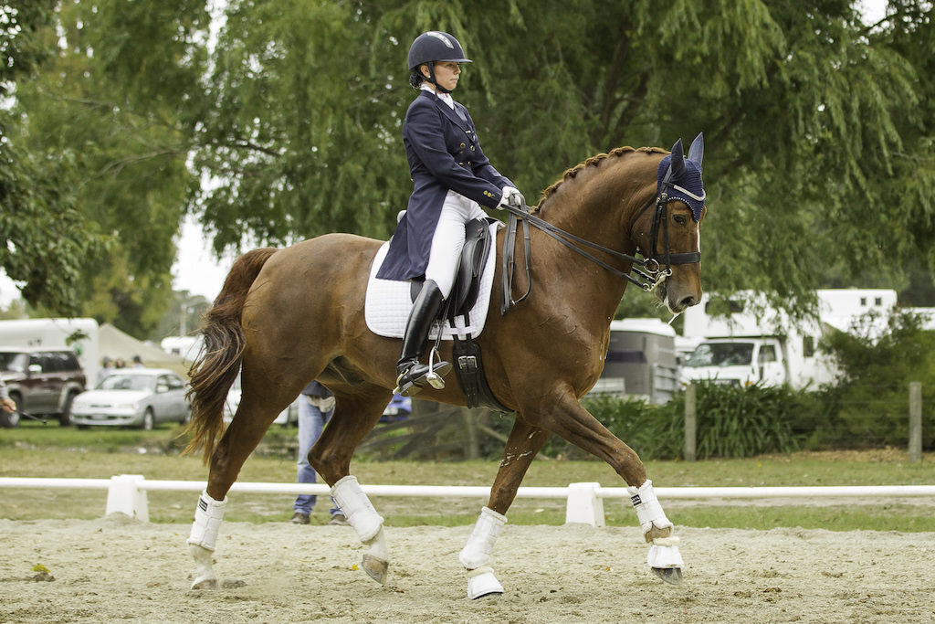 warm-up Warming in with SUPER-COACH: Vanessa Way: NZL-Abbie Deken (KH AMBROSE) TRINITY HILL WINERY CDI FEI INTERMEDIATE A DRESSAGE: 2014 NZL-Horse Of The Year Show, Hastings Showgrounds (Friday 21 March) CREDIT: Libby Law COPYRIGHT: LIBBY LAW PHOTOGRAPHY - NZL