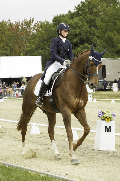 warm-up NZL-Abbie Deken (KH AMBROSE) 2ND-TRINITY HILL WINERY CDI FEI INTERMEDIATE A DRESSAGE: 2014 NZL-Horse Of The Year Show, Hastings Showgrounds (Friday 21 March) CREDIT: Libby Law COPYRIGHT: LIBBY LAW PHOTOGRAPHY - NZL