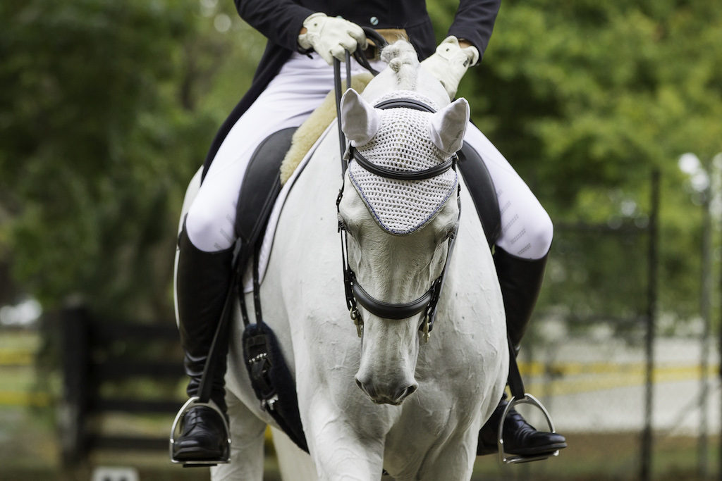 warm-up NZL-Clarke Johnstone (BALMORAL SENSATION) 3RD-CIC3* EVENTING DRESSAGE: 2014 NZL-Horse Of The Year Show, Hastings Showgrounds (Friday 21 March) CREDIT: Libby Law COPYRIGHT: LIBBY LAW PHOTOGRAPHY - NZL