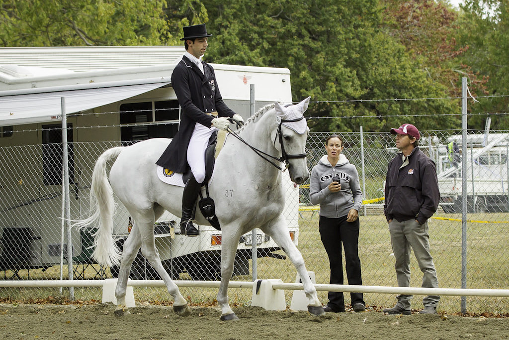 warm-up NZL-Clarke Johnstone (BALMORAL SENSATION) 3RD-CIC3* EVENTING DRESSAGE: 2014 NZL-Horse Of The Year Show, Hastings Showgrounds (Friday 21 March) CREDIT: Libby Law COPYRIGHT: LIBBY LAW PHOTOGRAPHY - NZL