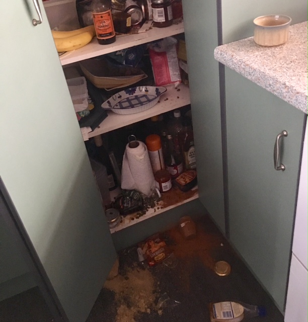 My mother-in-law usually has tidier cupboards