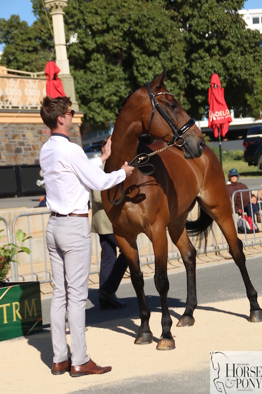 Lovely day for the first horse inspection. Andy and Pete looking good! 