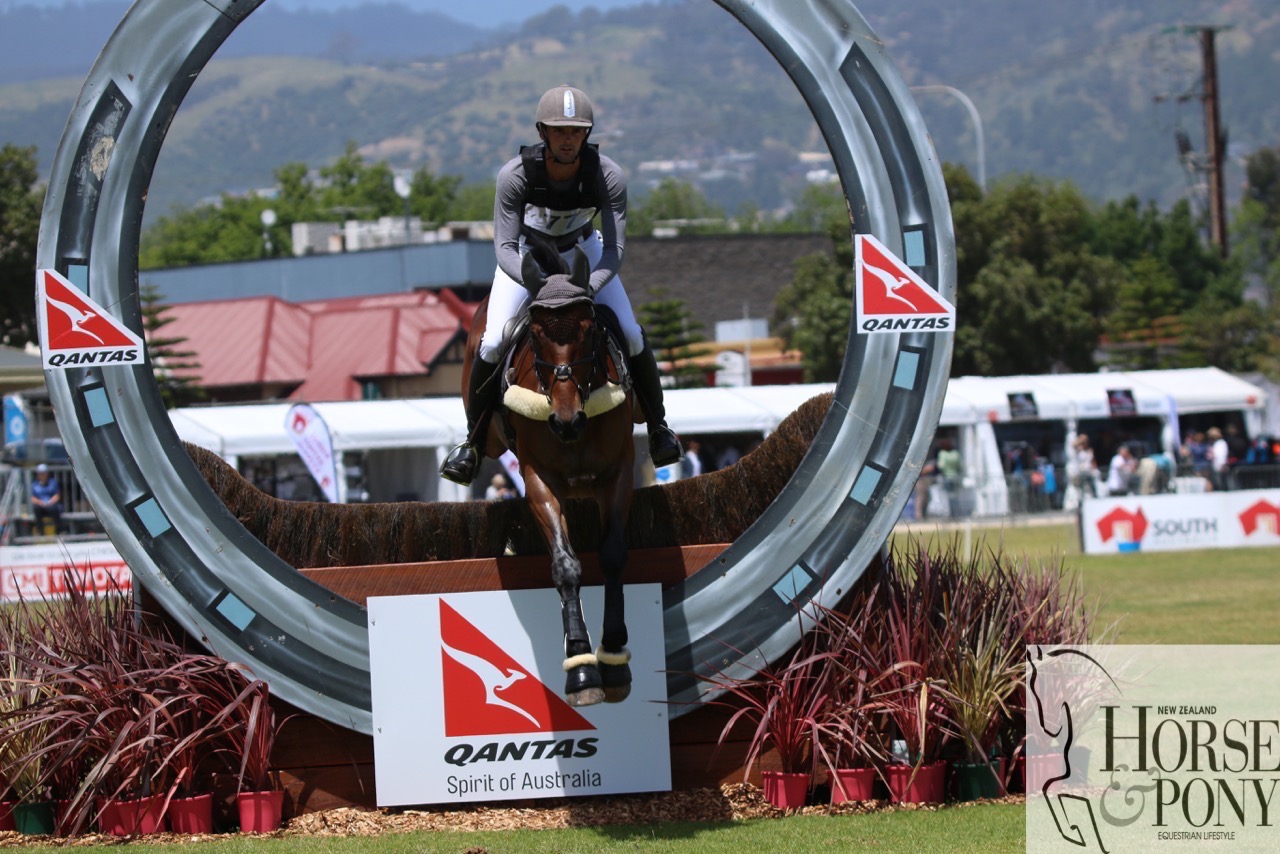 Andy Daines and Spring Panorama over their first-ever four-star fence (Image: Jane Thompson)