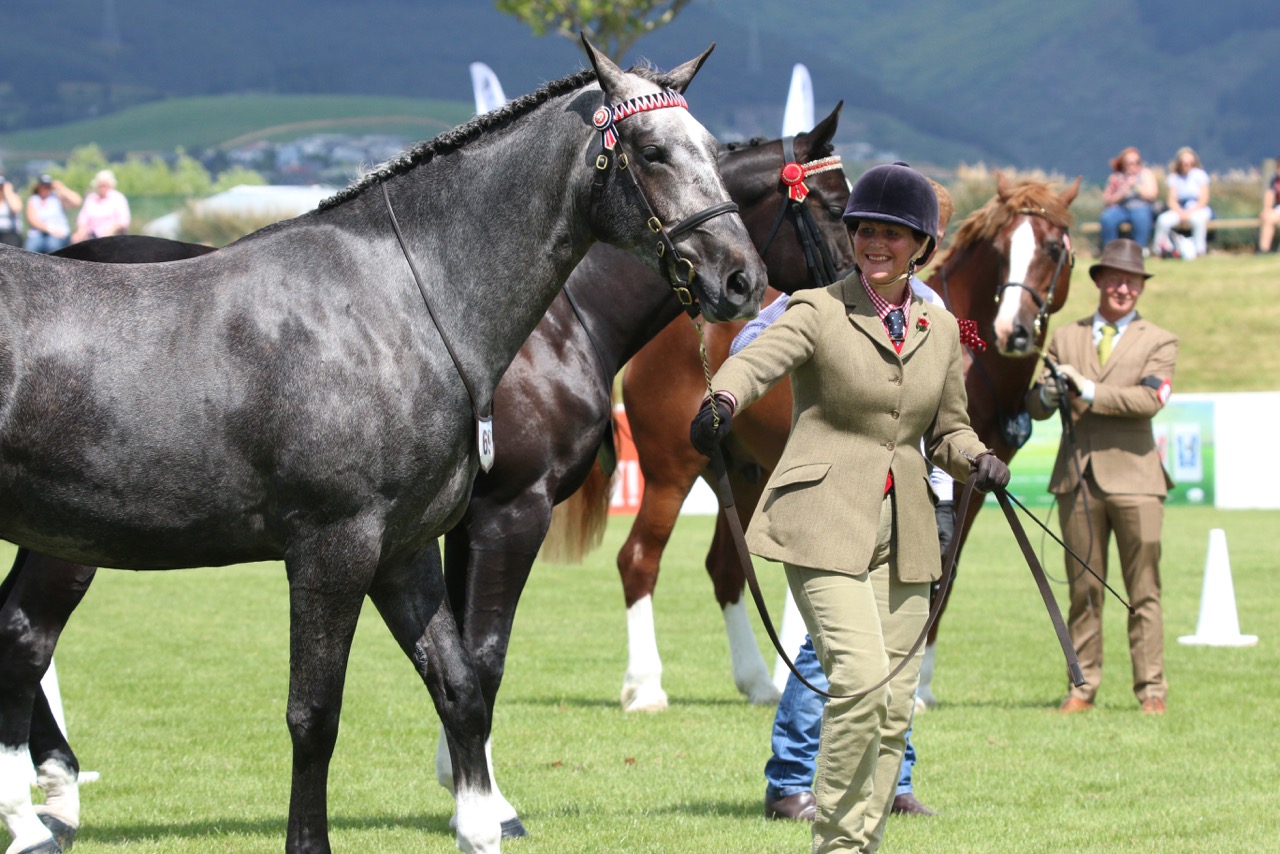 Delighted with her young gelding! Tracey Crossen from Fairlie. 