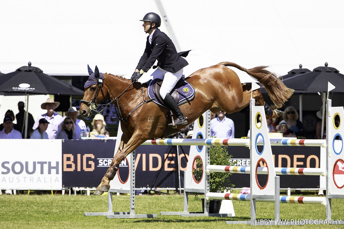 2016 Horseland CCI2* Title Winner: 1ST-AUS-Andrew Barnett (Bradgate Park Dante) during the CCI2* Showjumping. (Image: Libby Law Photography)