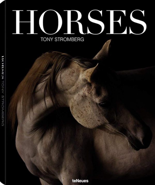 Horses (Tony Stromberg)