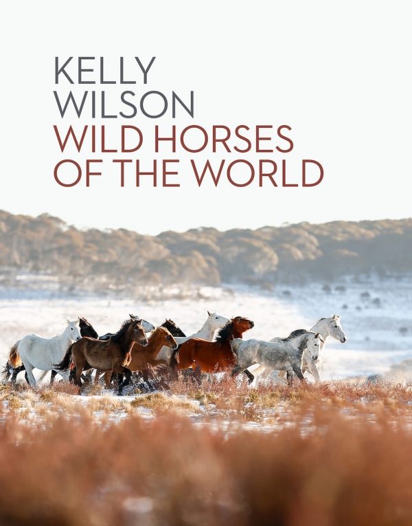 Wild Horses of the World (Kelly Wilson)