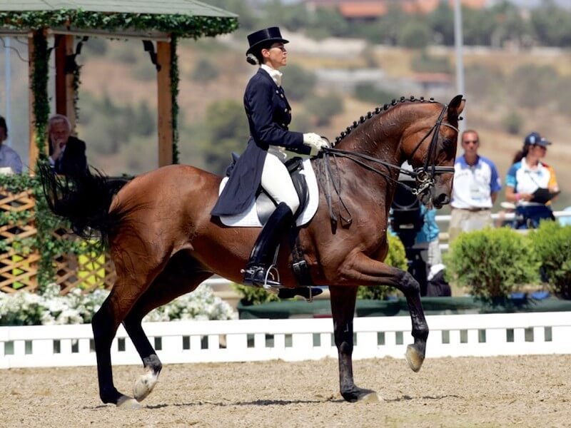 Jerez WEG dressage