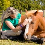 Love is-close up emotional moment between girl and horse.